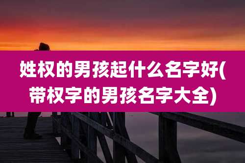 姓权的男孩起什么名字好(带权字的男孩名字大全)