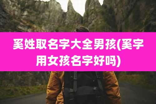 奚姓取名字大全男孩(奚字用女孩名字好吗)