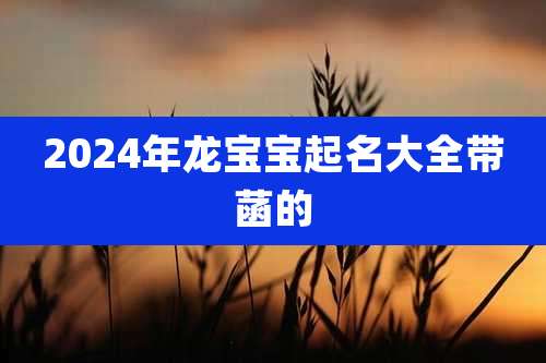 2024年龙宝宝起名大全带菡的