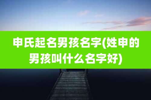 申氏起名男孩名字(姓申的男孩叫什么名字好)