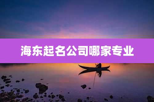 海东起名公司哪家专业