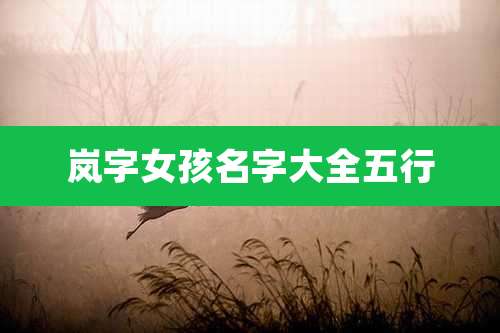 岚字女孩名字大全五行