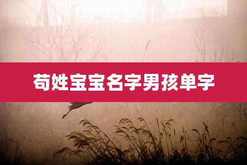 苟姓宝宝名字男孩单字