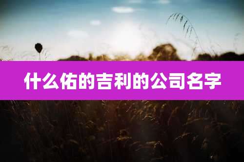 什么佑的吉利的公司名字