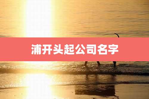 浦开头起公司名字