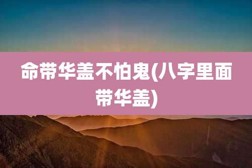 命带华盖不怕鬼(八字里面带华盖)