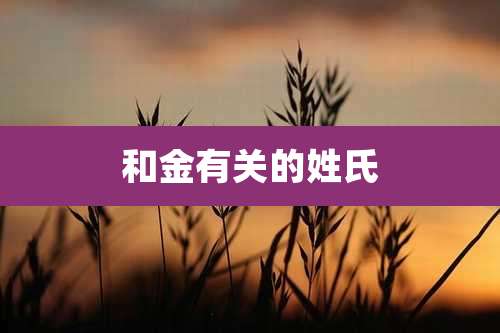 和金有关的姓氏
