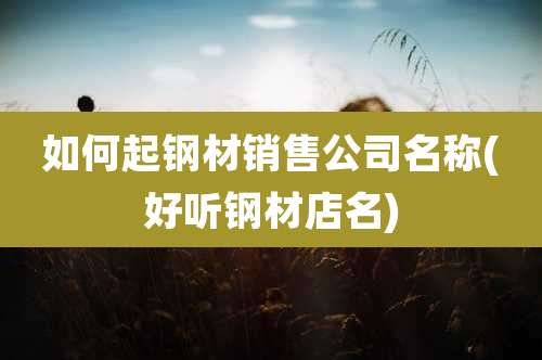 如何起钢材销售公司名称(好听钢材店名)
