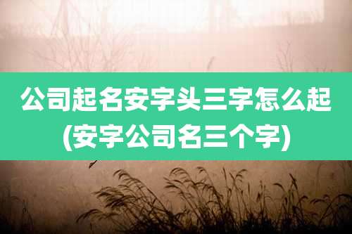 公司起名安字头三字怎么起(安字公司名三个字)