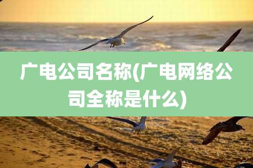 广电公司名称(广电网络公司全称是什么)
