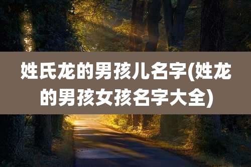 姓氏龙的男孩儿名字(姓龙的男孩女孩名字大全)