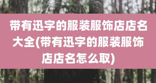 带有迅字的服装服饰店店名大全(带有迅字的服装服饰店店名怎么取)