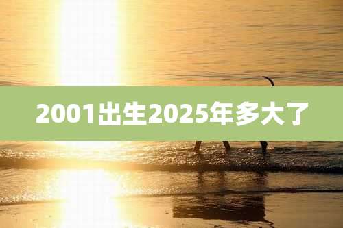 2001出生2025年多大了