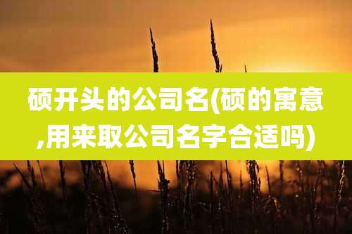 硕开头的公司名(硕的寓意,用来取公司名字合适吗)