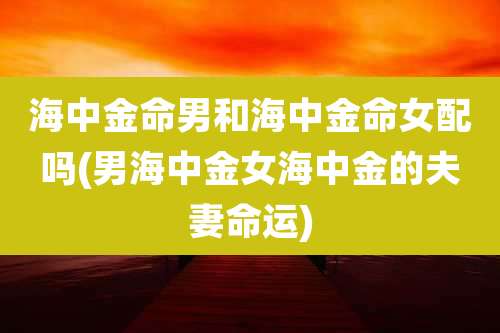 海中金命男和海中金命女配吗(男海中金女海中金的夫妻命运)