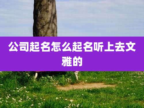 公司起名怎么起名听上去文雅的