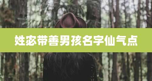 姓宓带善男孩名字仙气点