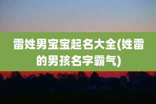 雷姓男宝宝起名大全(姓雷的男孩名字霸气)