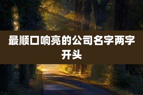 最顺口响亮的公司名字两字开头