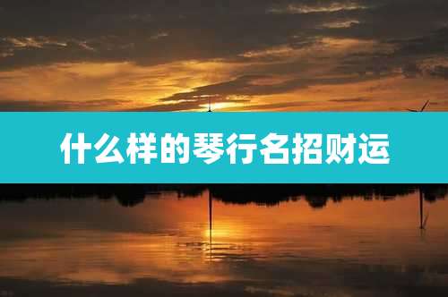 什么样的琴行名招财运