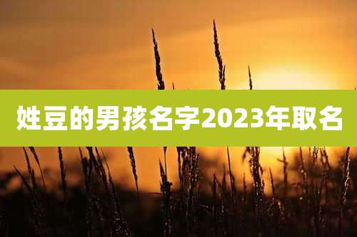 姓豆的男孩名字2023年取名
