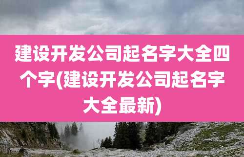 建设开发公司起名字大全四个字(建设开发公司起名字大全最新)