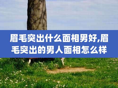 眉毛突出什么面相男好,眉毛突出的男人面相怎么样