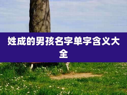 姓成的男孩名字单字含义大全