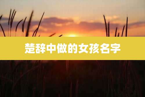 楚辞中做的女孩名字