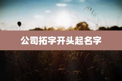 公司拓字开头起名字