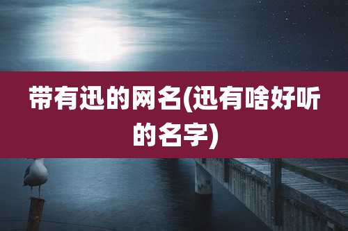 带有迅的网名(迅有啥好听的名字)