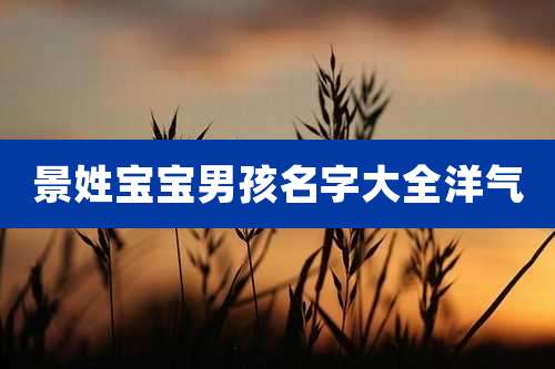 景姓宝宝男孩名字大全洋气