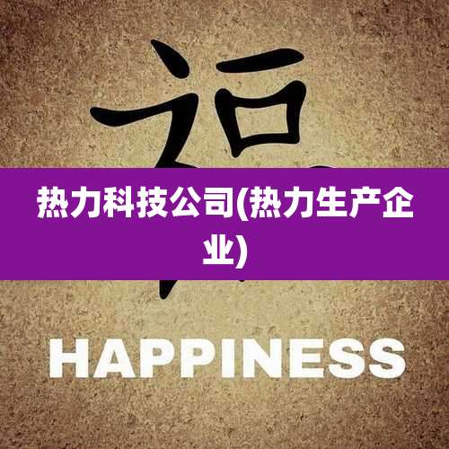 热力科技公司(热力生产企业)