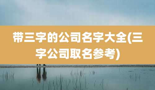 带三字的公司名字大全(三字公司取名参考)