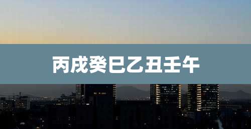 丙戌癸巳乙丑壬午