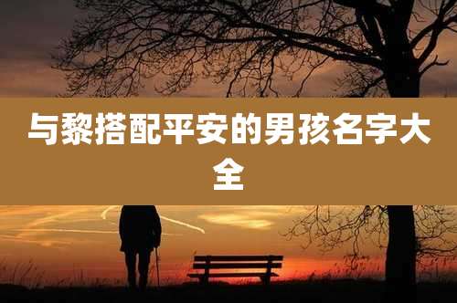 与黎搭配平安的男孩名字大全