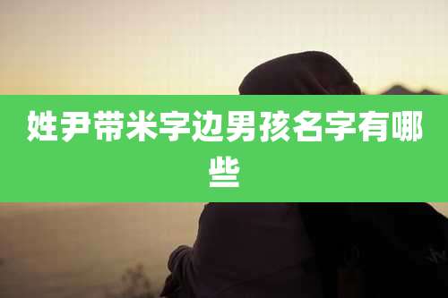姓尹带米字边男孩名字有哪些