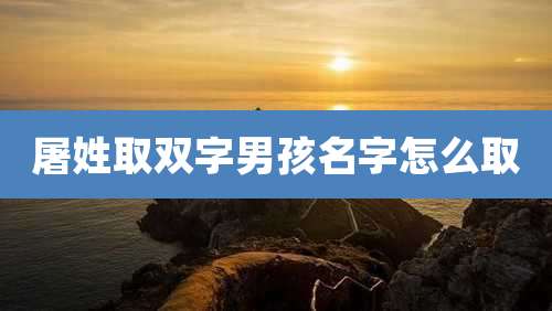 屠姓取双字男孩名字怎么取