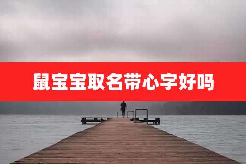 鼠宝宝取名带心字好吗
