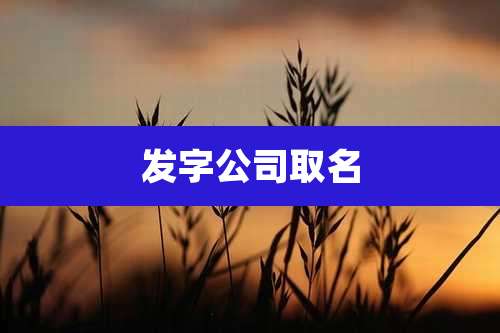 发字公司取名