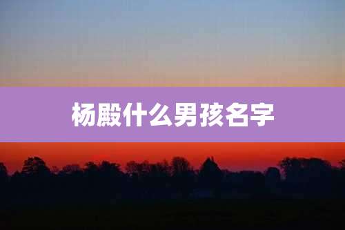 杨殿什么男孩名字