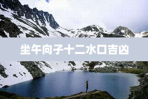 坐午向子十二水口吉凶