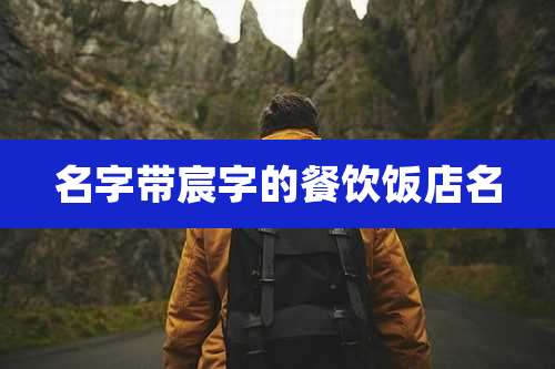 名字带宸字的餐饮饭店名