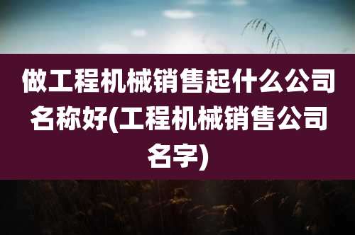做工程机械销售起什么公司名称好(工程机械销售公司名字)