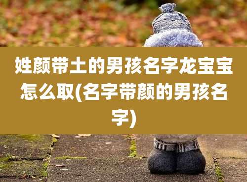 姓颜带土的男孩名字龙宝宝怎么取(名字带颜的男孩名字)