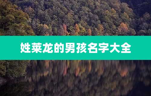 姓莱龙的男孩名字大全