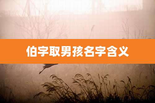 伯字取男孩名字含义