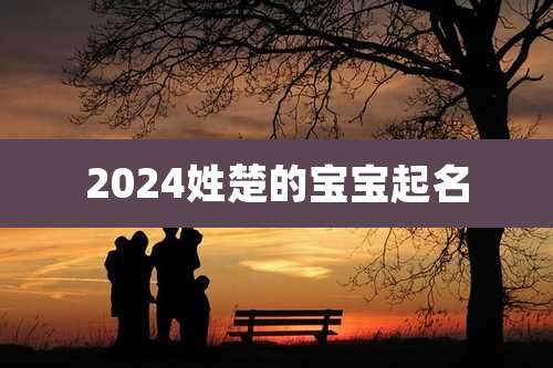2024姓楚的宝宝起名