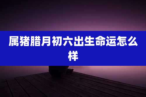 属猪腊月初六出生命运怎么样