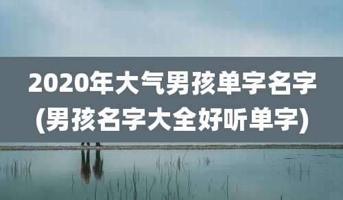 2020年大气男孩单字名字(男孩名字大全好听单字)